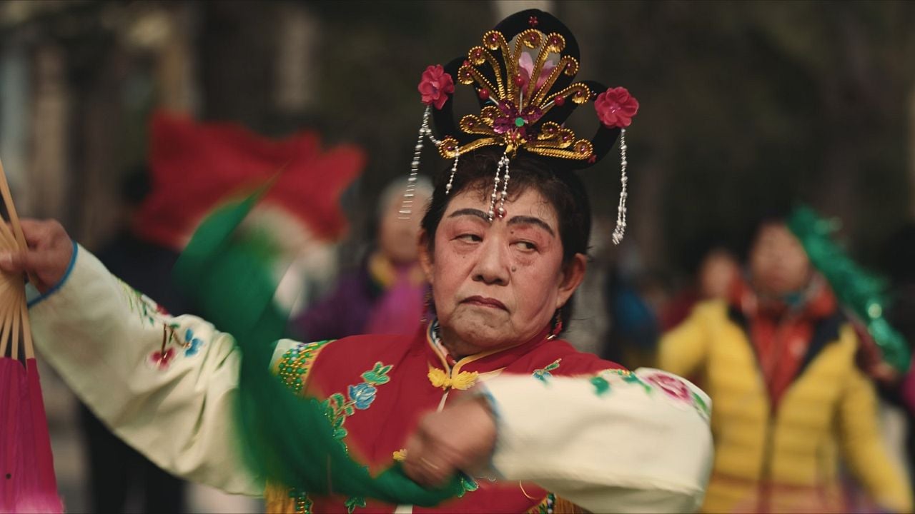 Plötzlich Heimweh : Bild