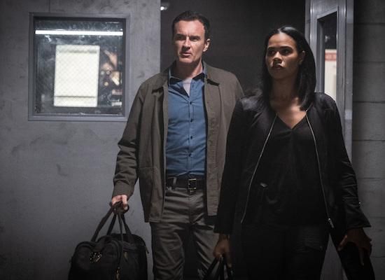 FBI: Most Wanted : Bild Roxy Sternberg, Julian McMahon