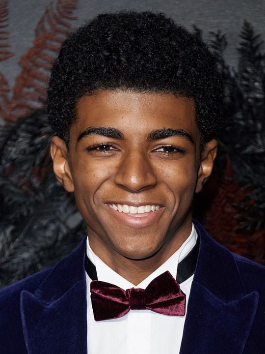 Kinoposter Wilson Radjou-Pujalte