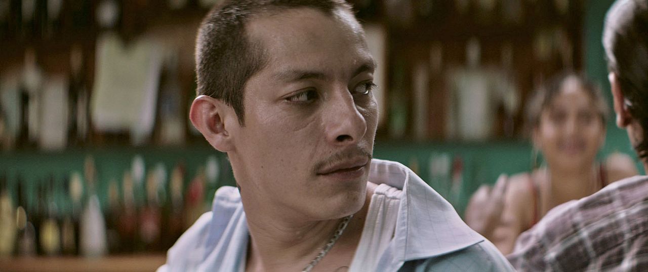 Luciérnagas : Bild Luis Alberti