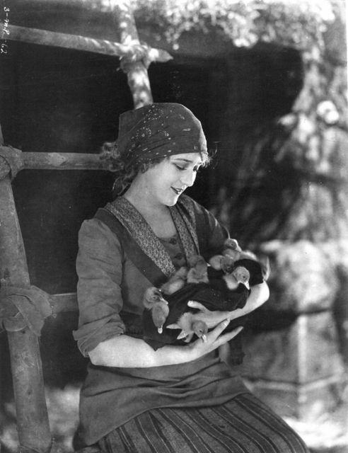 Bild Mary Pickford