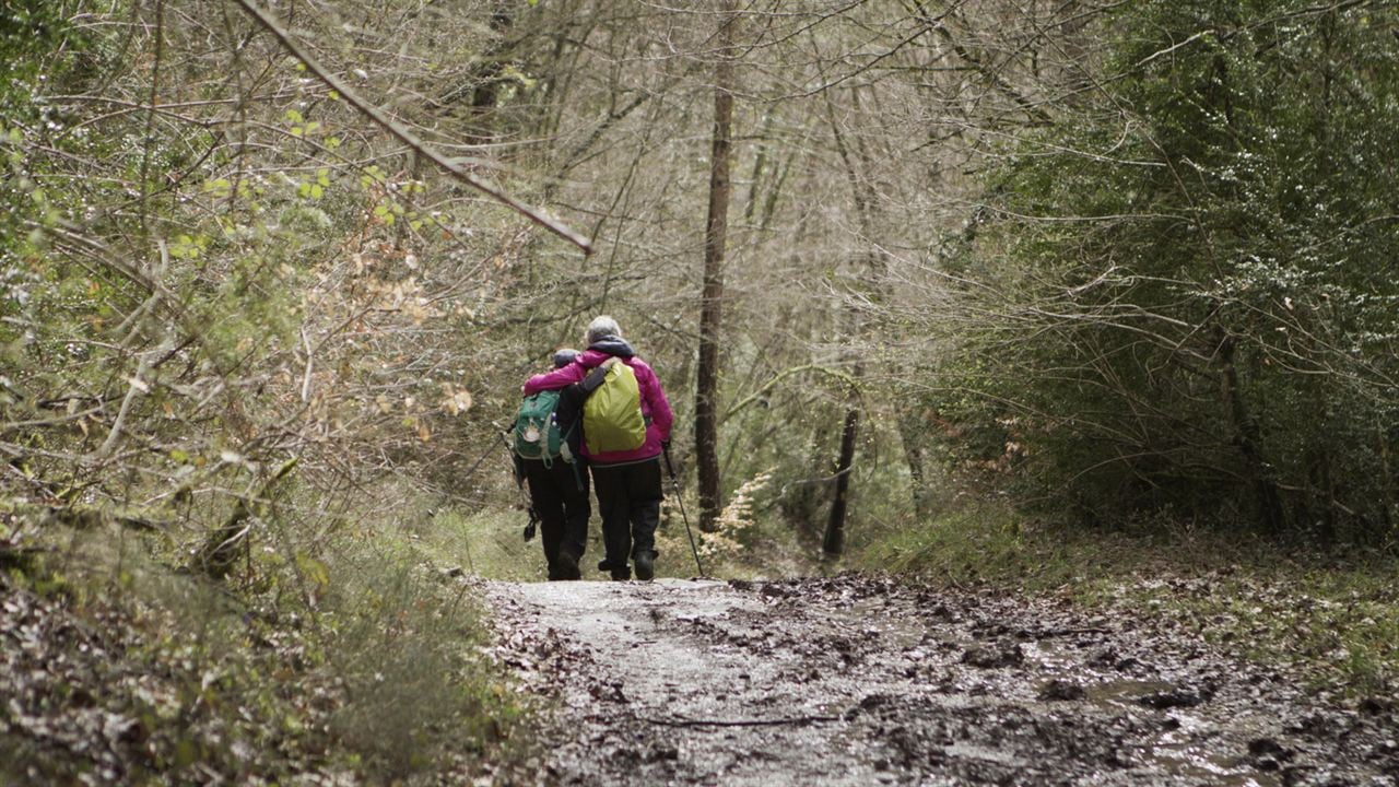 Himmel über dem Camino - Der Jakobsweg ist Leben! : Bild