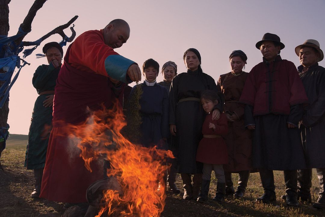 Die Adern der Welt : Bild