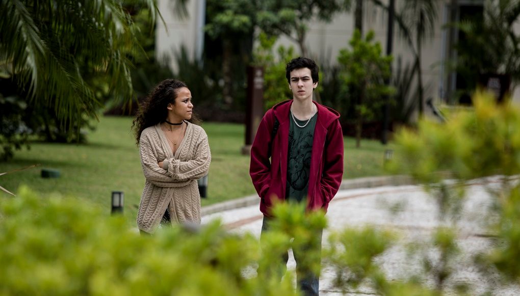 Sobre Girassóis : Bild