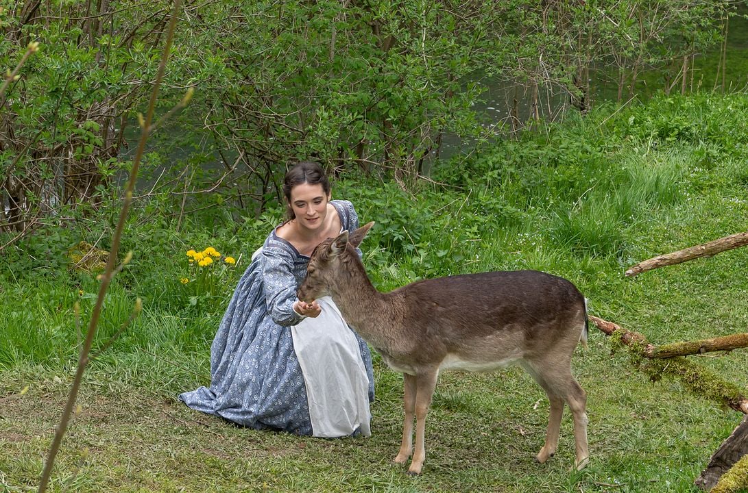 Die drei Königskinder : Bild