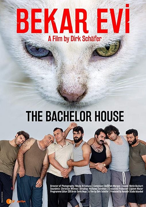 Bekar Evi - Das Junggesellenhaus : Kinoposter