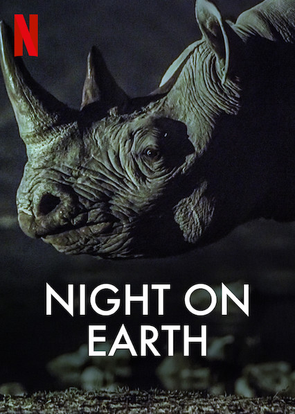 Die Erde bei Nacht : Kinoposter