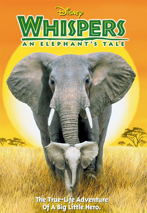 Whispers: Ein Elefantenmärchen : Kinoposter