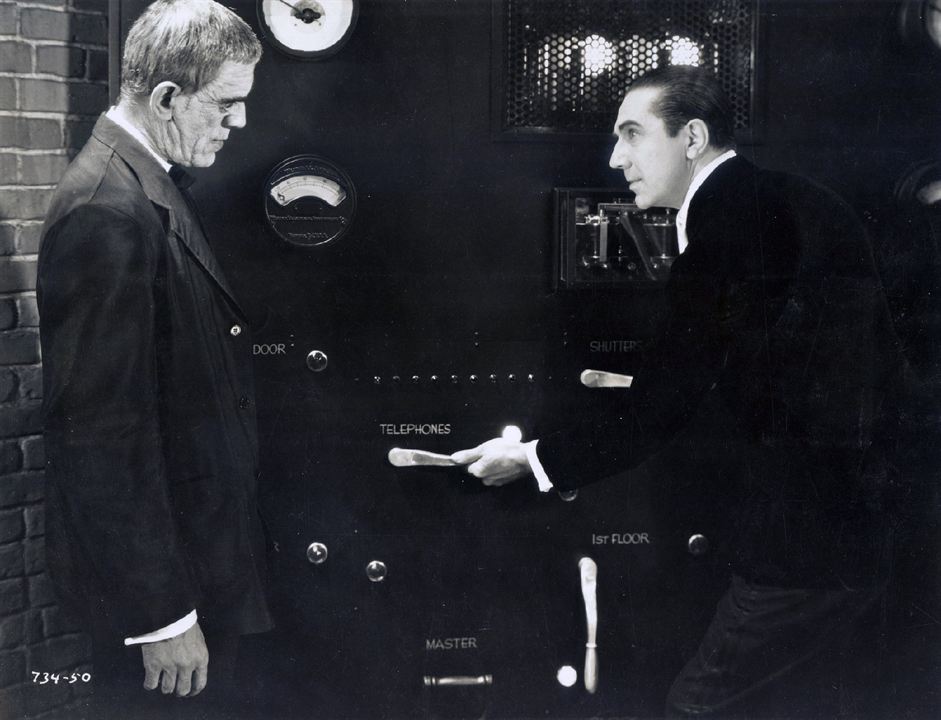 Der Rabe : Bild Bela Lugosi, Boris Karloff