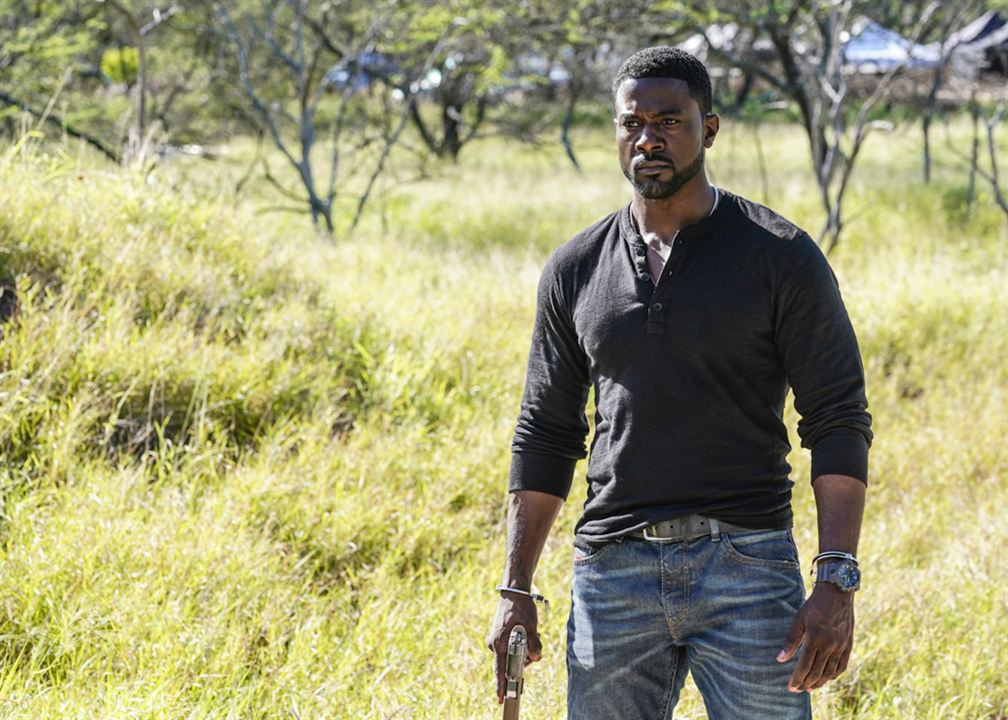 Hawaii Five-0 : Bild Lance Gross