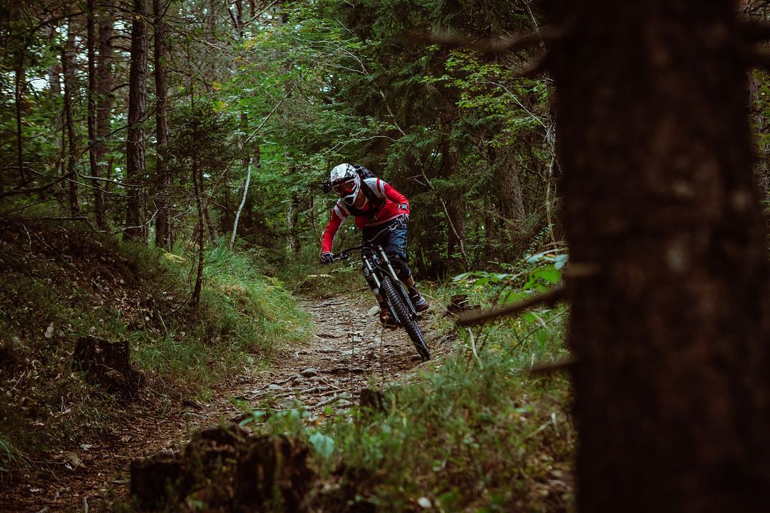 Ride - Fahr um dein Leben! : Bild