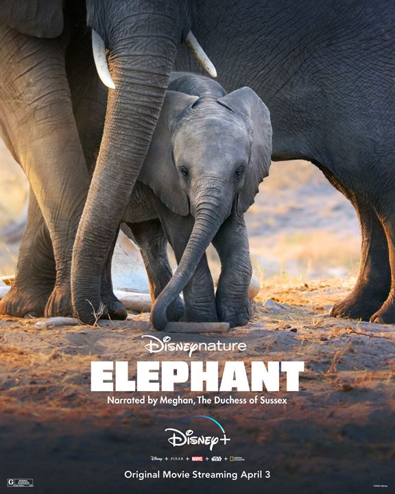 Elefanten : Kinoposter