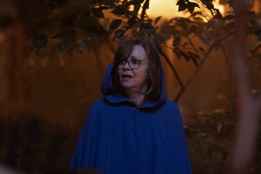 Dispatches From Elsewhere : Bild Sally Field