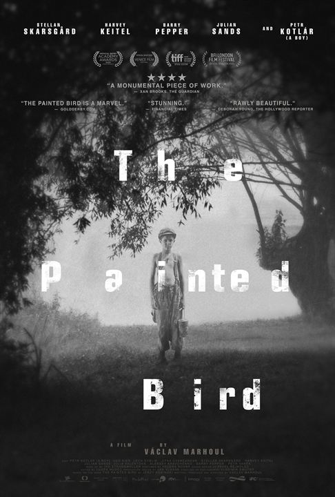 The Painted Bird : Kinoposter