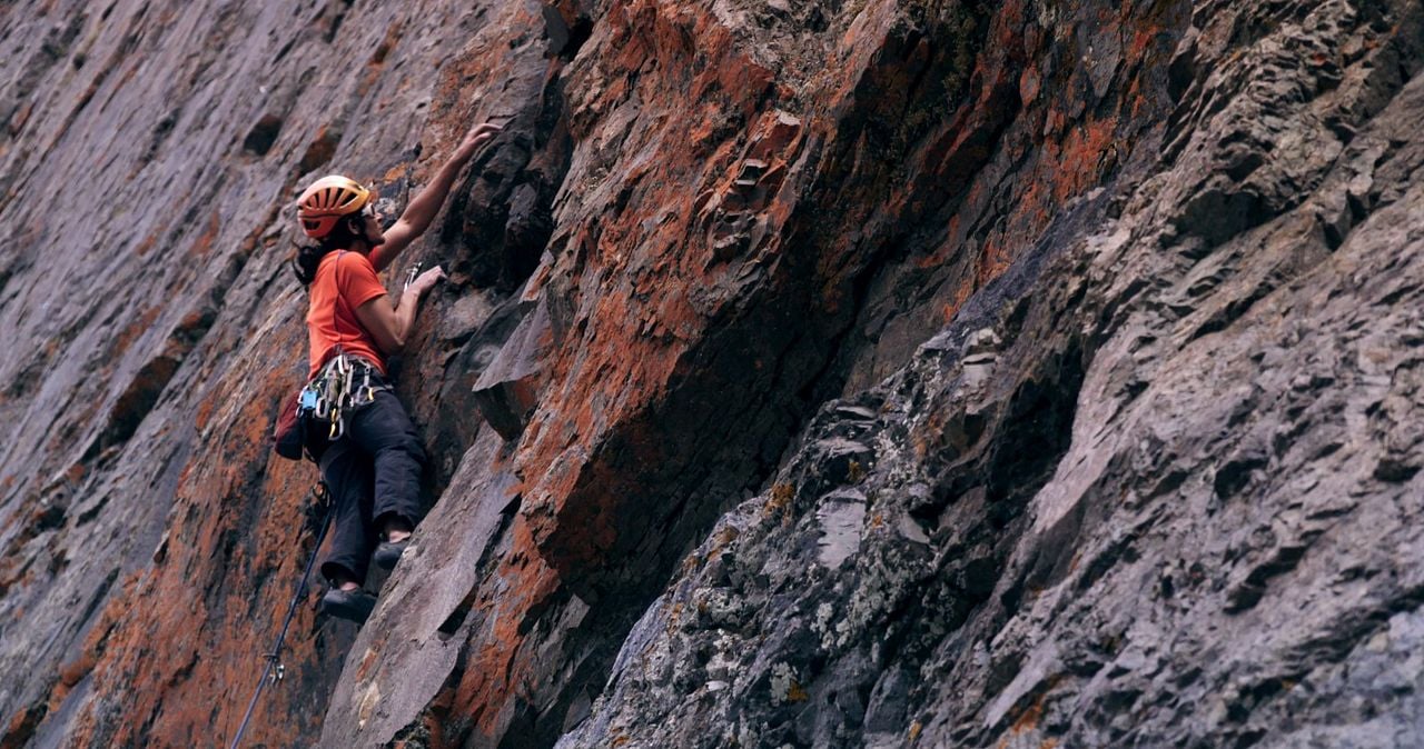 Die Kordillere der Träume : Bild