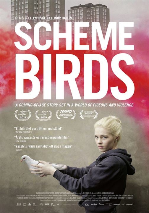 Scheme Birds : Kinoposter