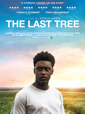 The Last Tree : Kinoposter