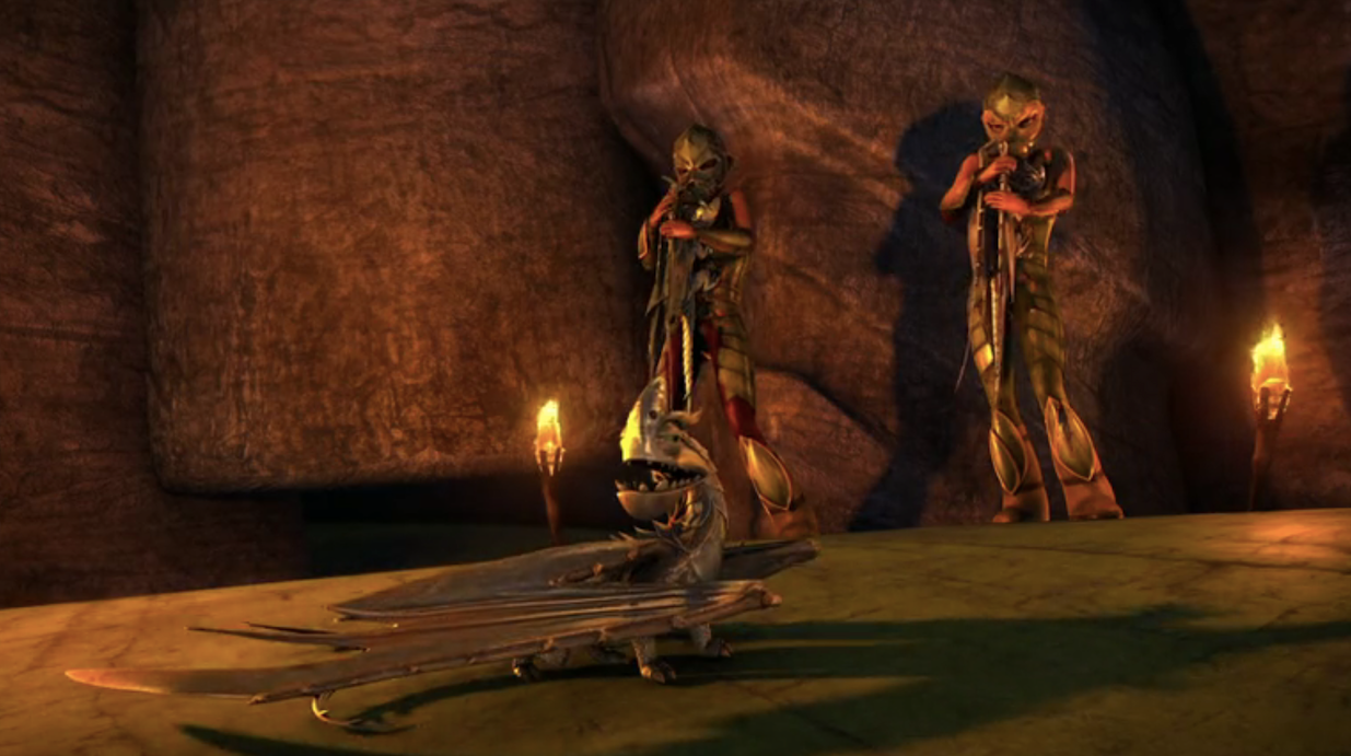 Dragons - Auf zu neuen Ufern : Bild