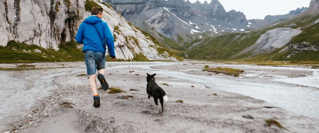 Cody - Wie ein Hund die Welt verändert : Bild