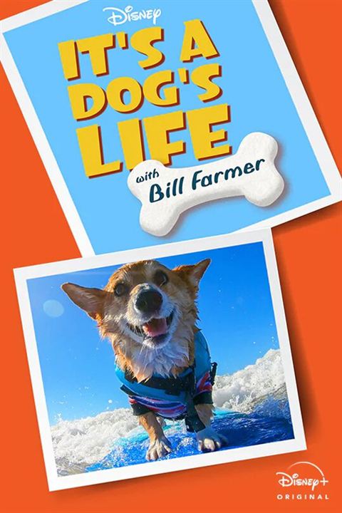 Ein Hundeleben mit Bill Farmer : Kinoposter