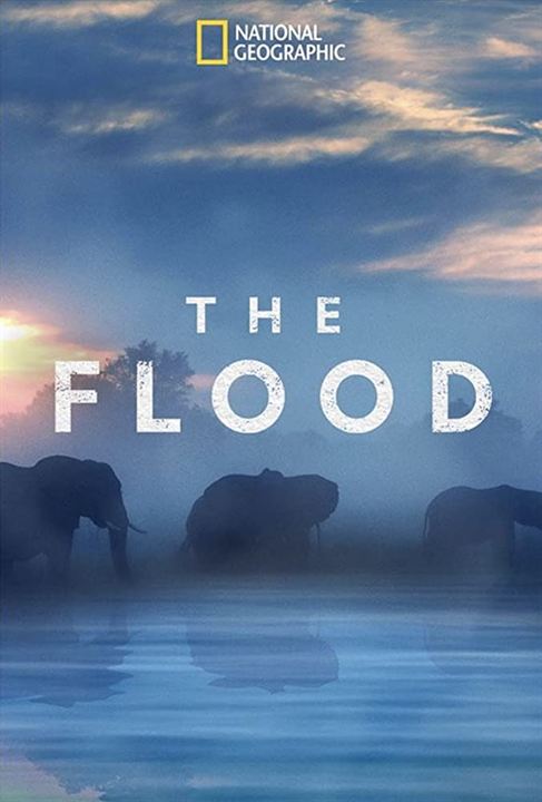 The Flood : Kinoposter