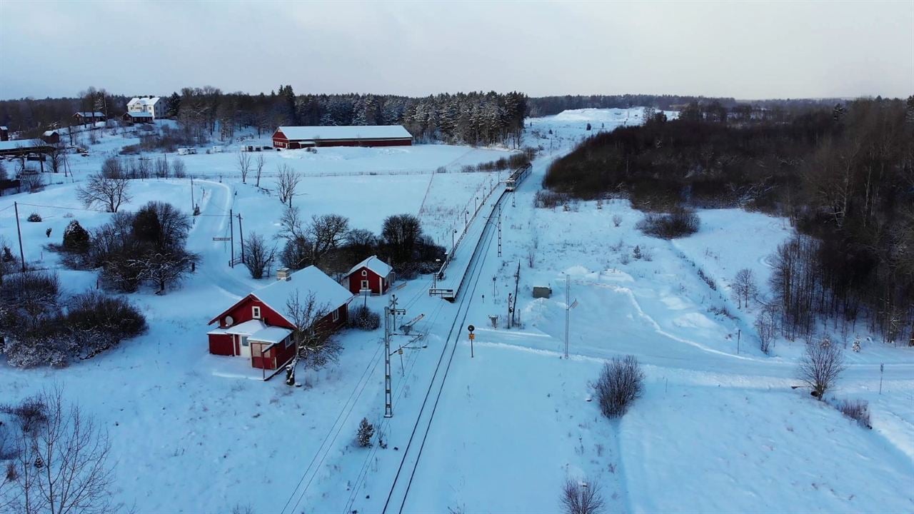 Dem Leben entgegen - Kindertransporte nach Schweden : Bild