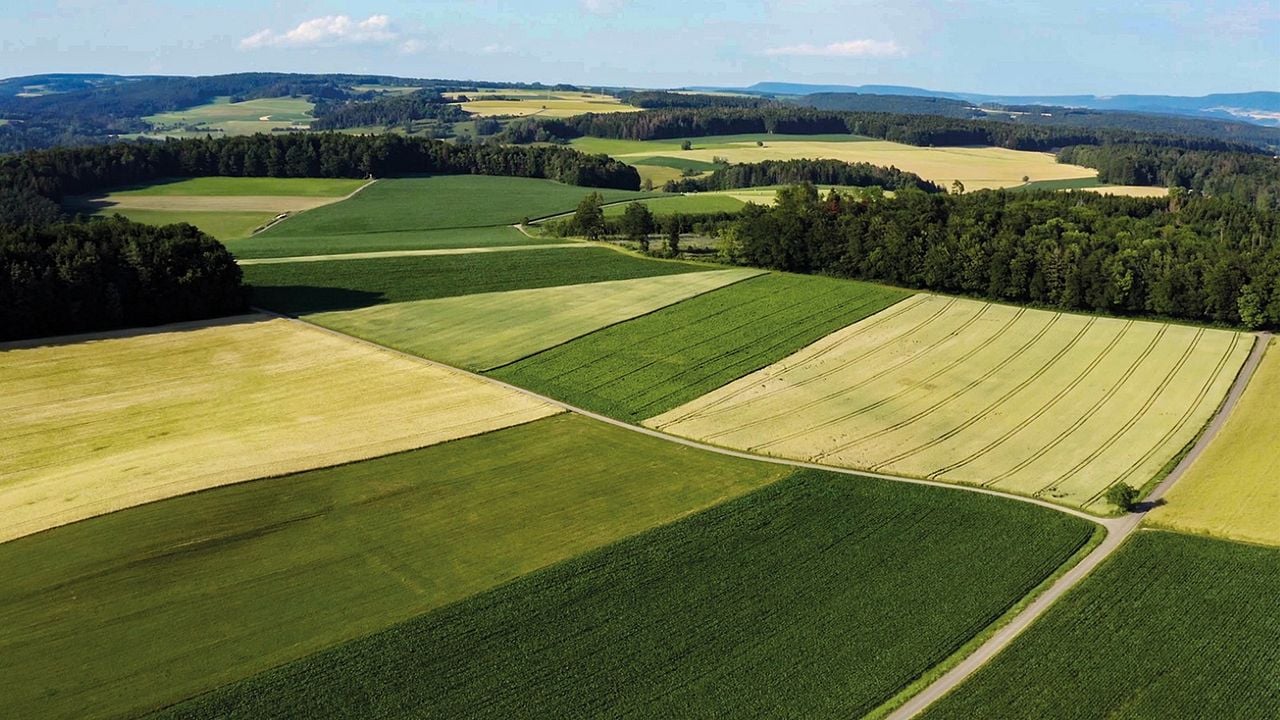 Unser Boden, unser Erbe : Bild