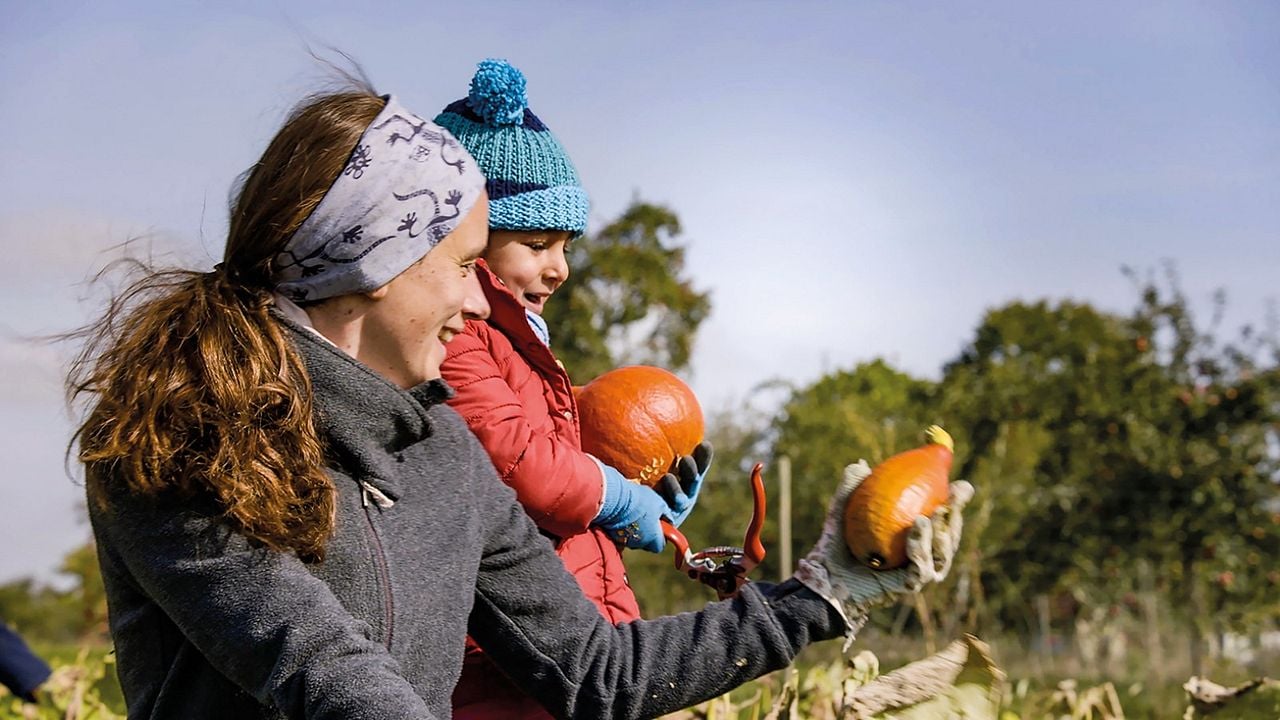 Unser Boden, unser Erbe : Bild