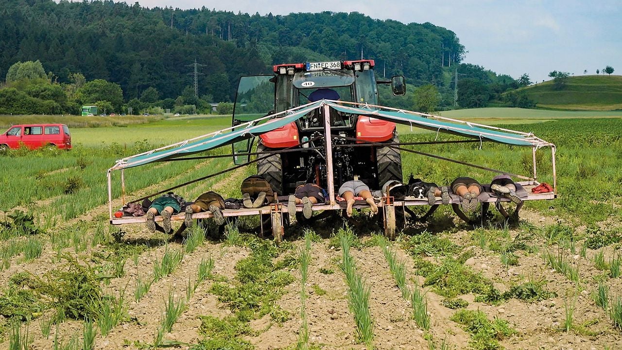 Unser Boden, unser Erbe : Bild