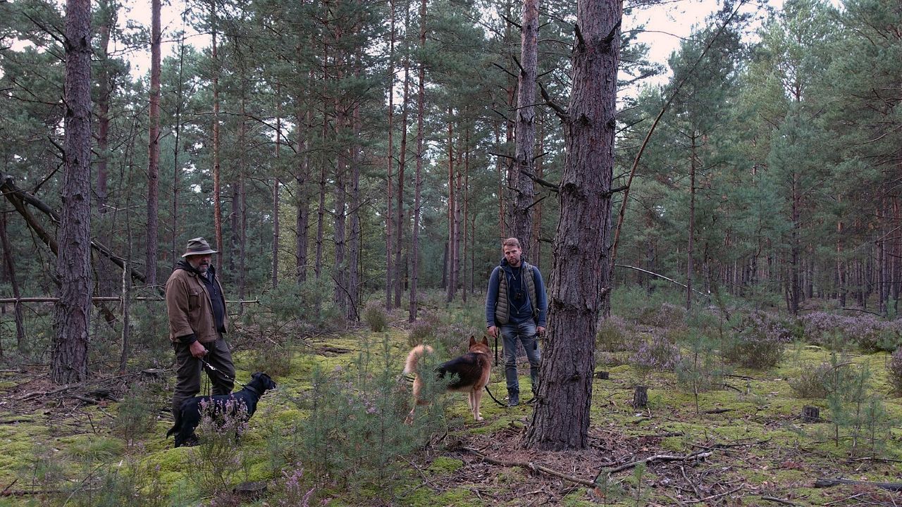 Die Rückkehr der Wölfe : Bild