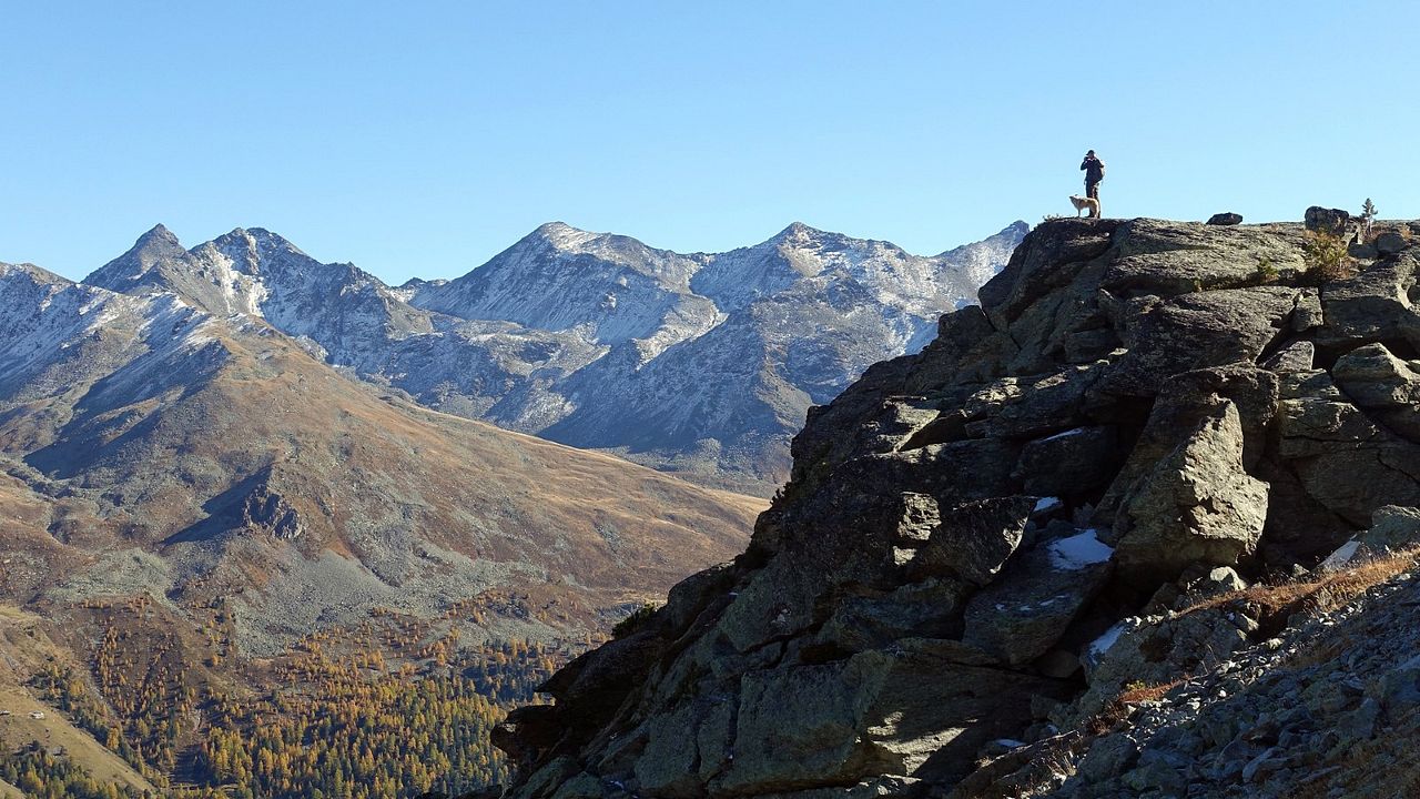 Die Rückkehr der Wölfe : Bild