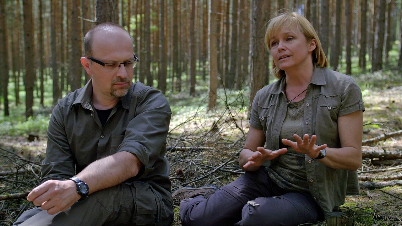 Die Rückkehr der Wölfe : Bild