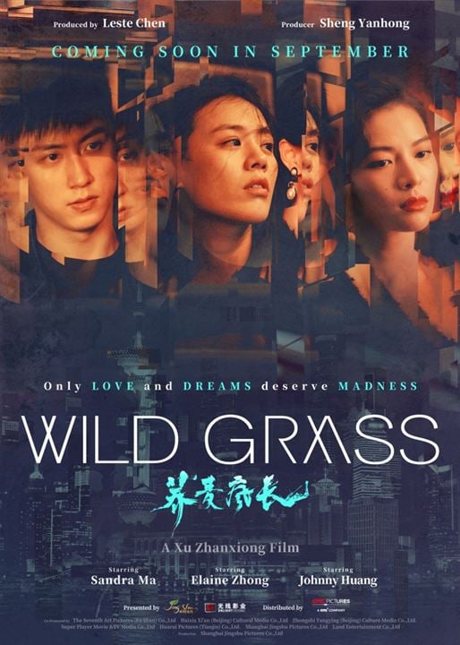 Wild Grass : Kinoposter