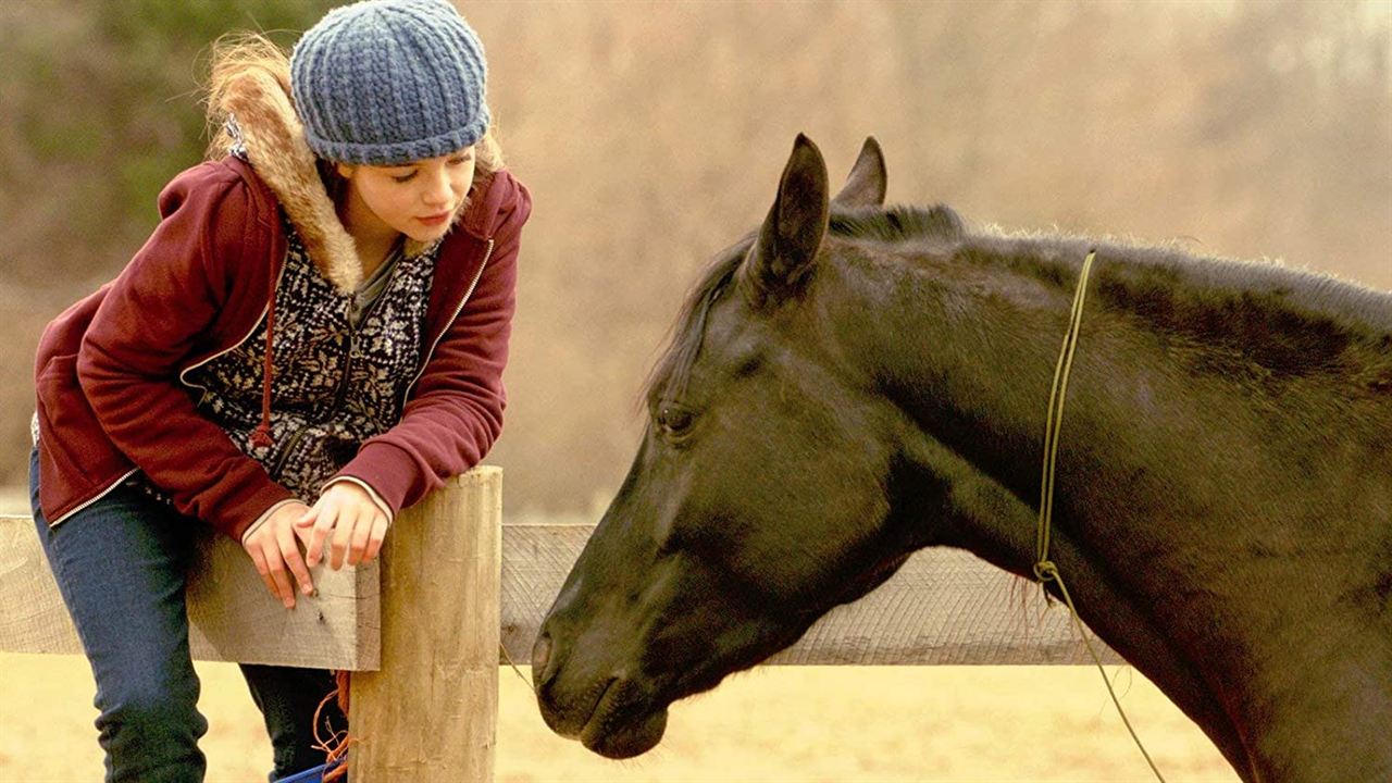 Shelly und Orphan - Im Schicksal vereint : Bild