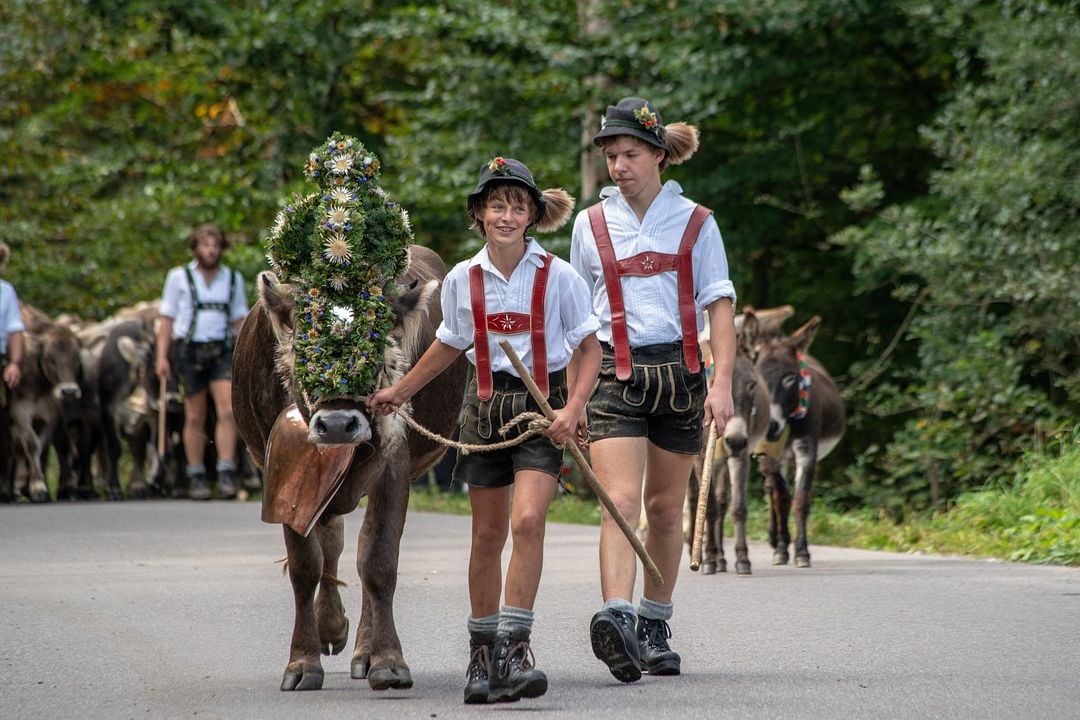 Im Berg dahuim : Bild