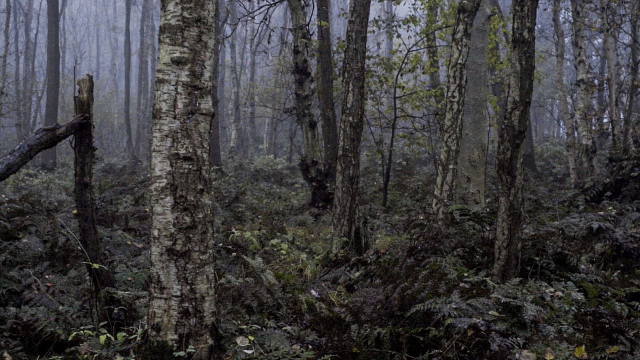 Freistaat Mittelpunkt : Bild