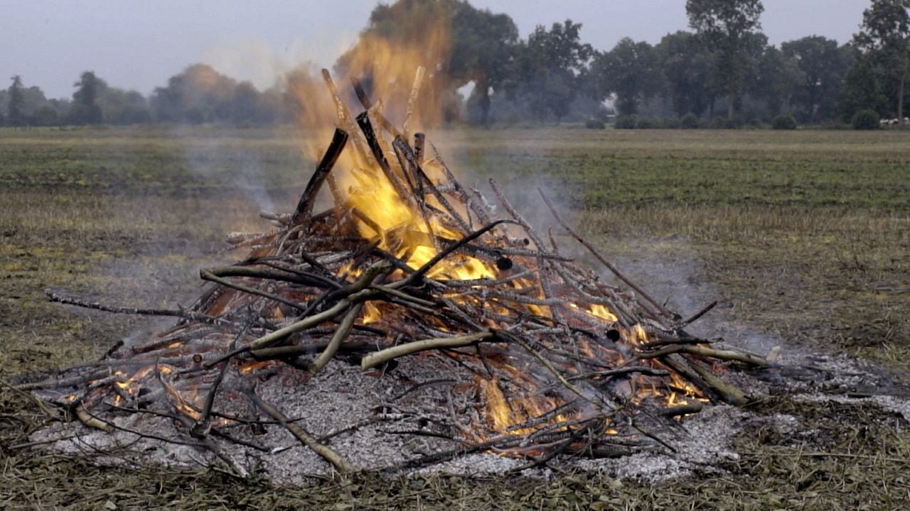 Freistaat Mittelpunkt : Bild