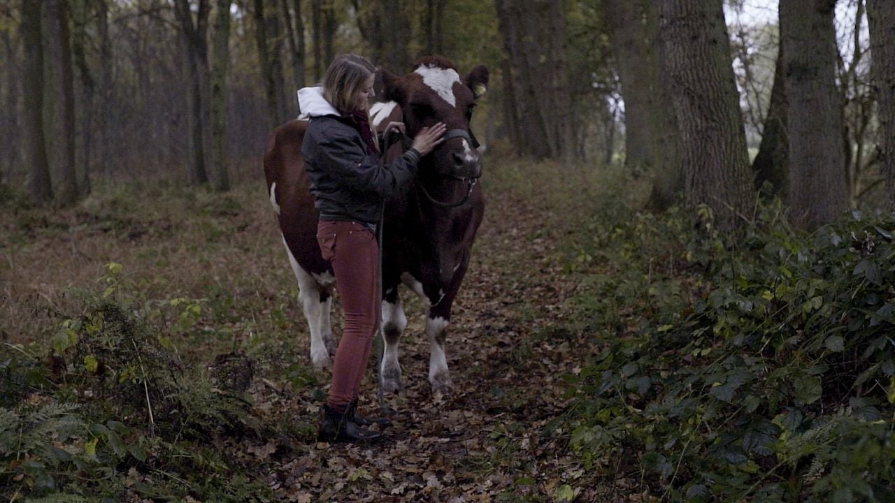 Freistaat Mittelpunkt : Bild