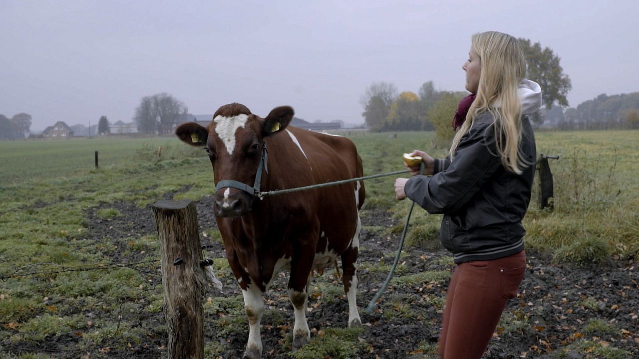 Freistaat Mittelpunkt : Bild