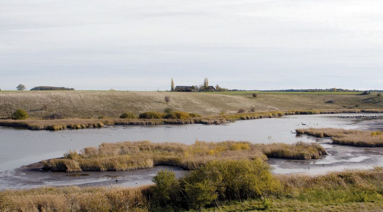 Im Stillen laut : Bild