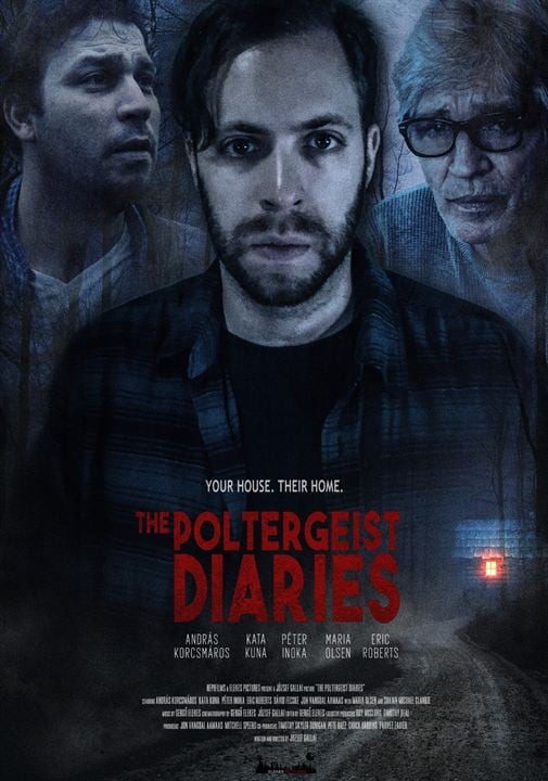 The Poltergeist Diaries : Kinoposter