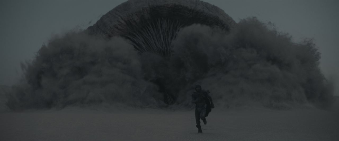 Dune : Bild Timothée Chalamet