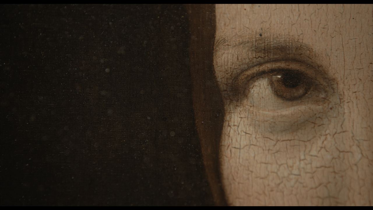 Eine Nacht im Louvre: Leonardo da Vinci : Bild