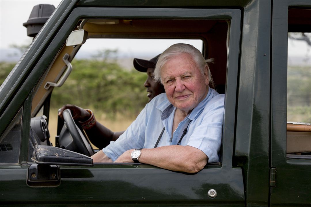 David Attenborough: Mein Leben auf unserem Planeten : Bild