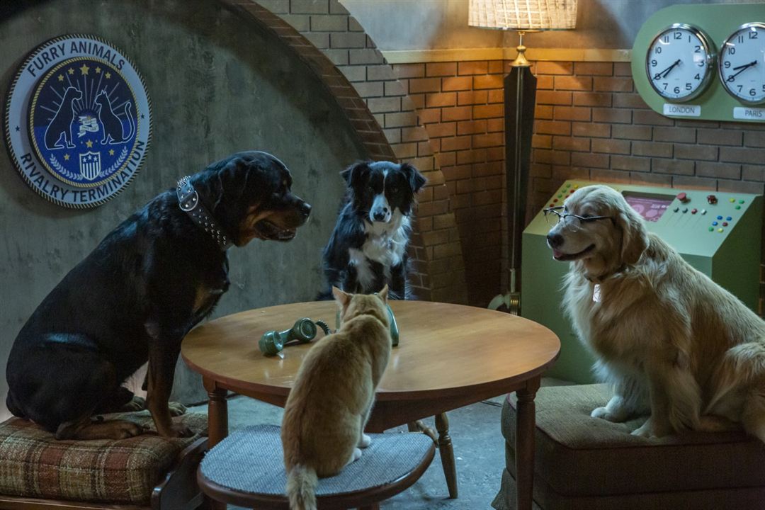Cats & Dogs 3: Pfoten vereint! : Bild