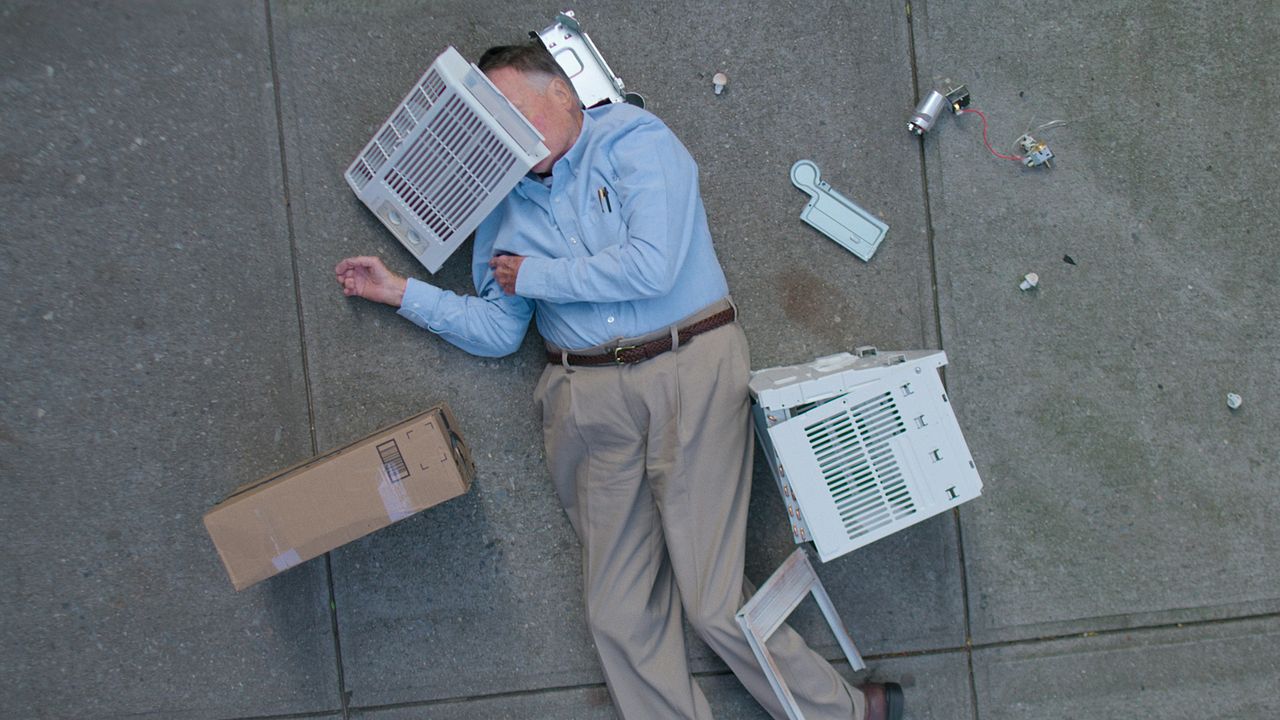 Dick Johnson ist tot : Bild