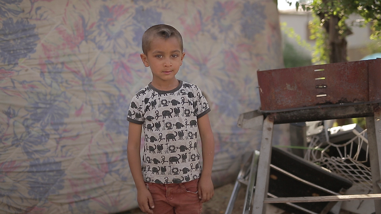 Contemporary Past - Die Gegenwart der Vergangenheit : Bild