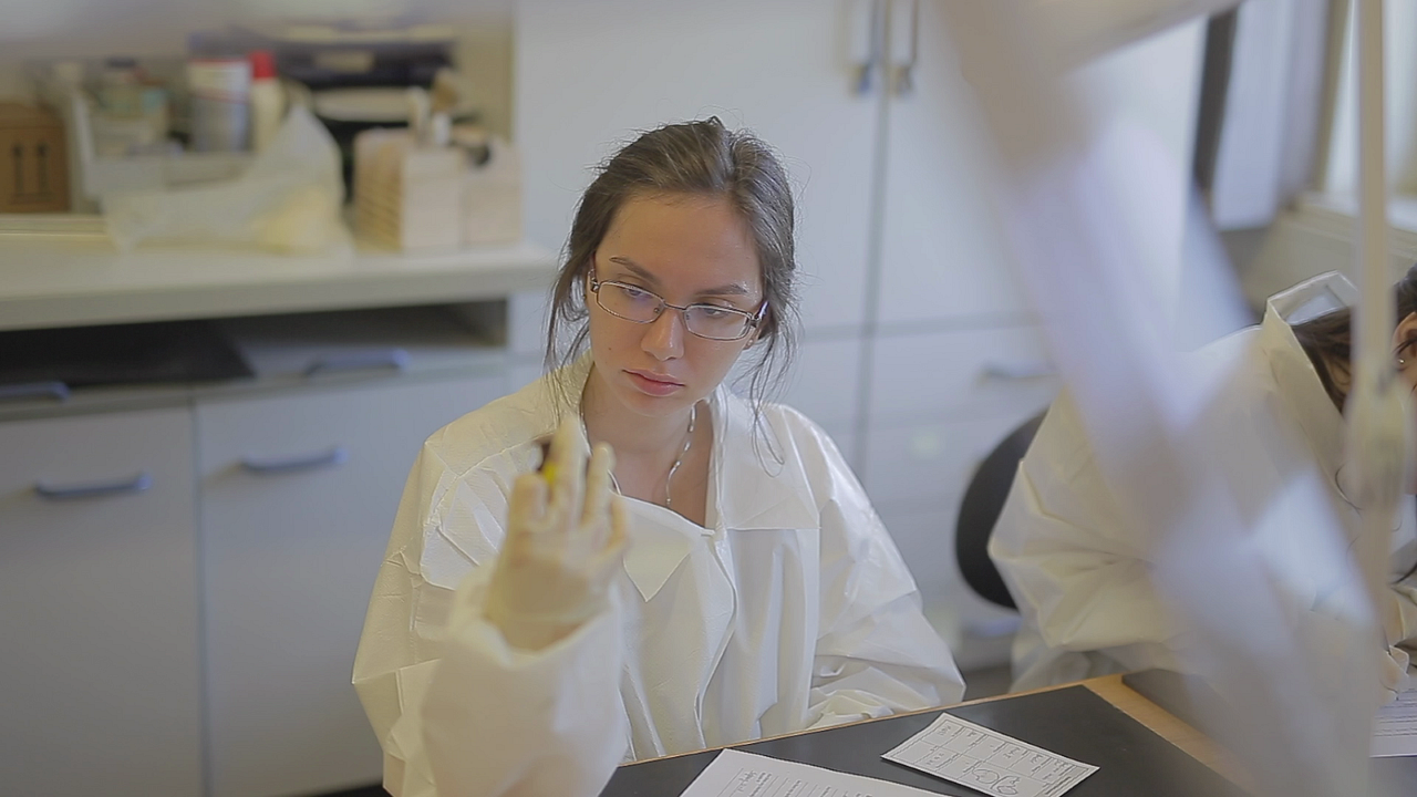 Contemporary Past - Die Gegenwart der Vergangenheit : Bild