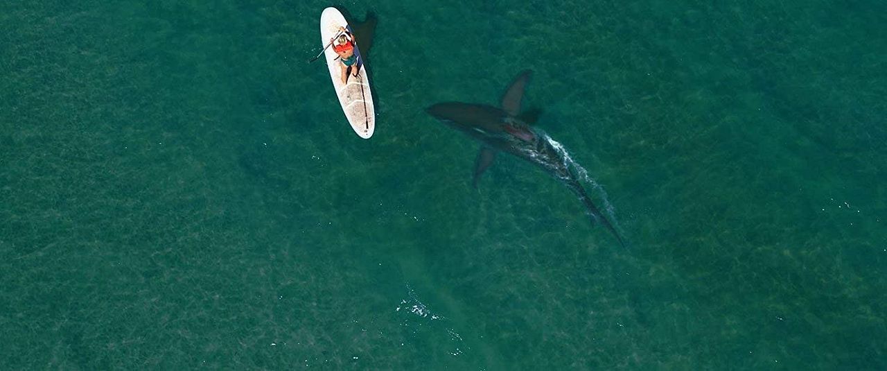 Shark Season - Angriff aus der Tiefe : Bild