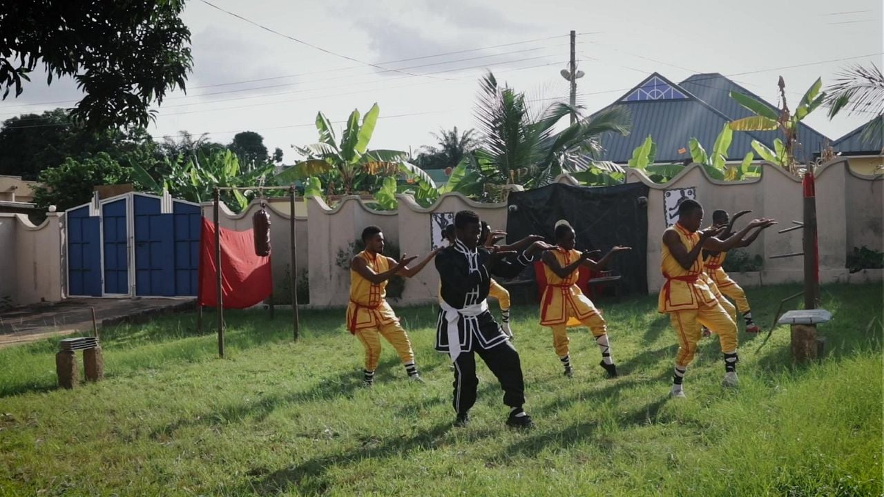 African Kung-Fu Nazis : Bild